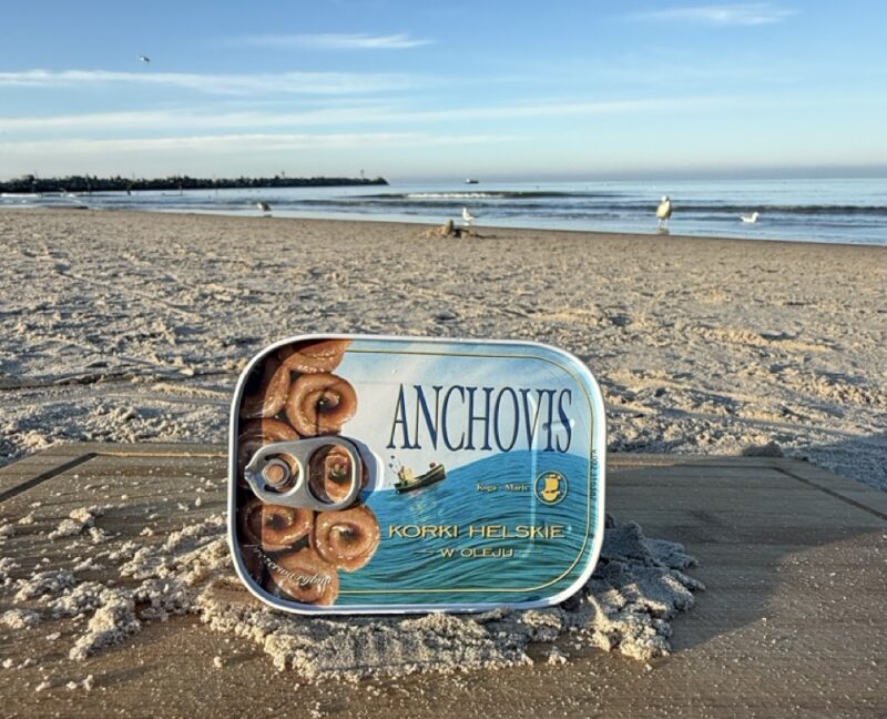 Anchovis korki helskie w oleju