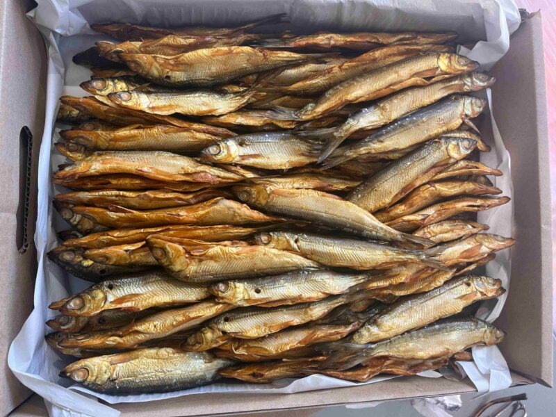 Sielawa (Kopia)
